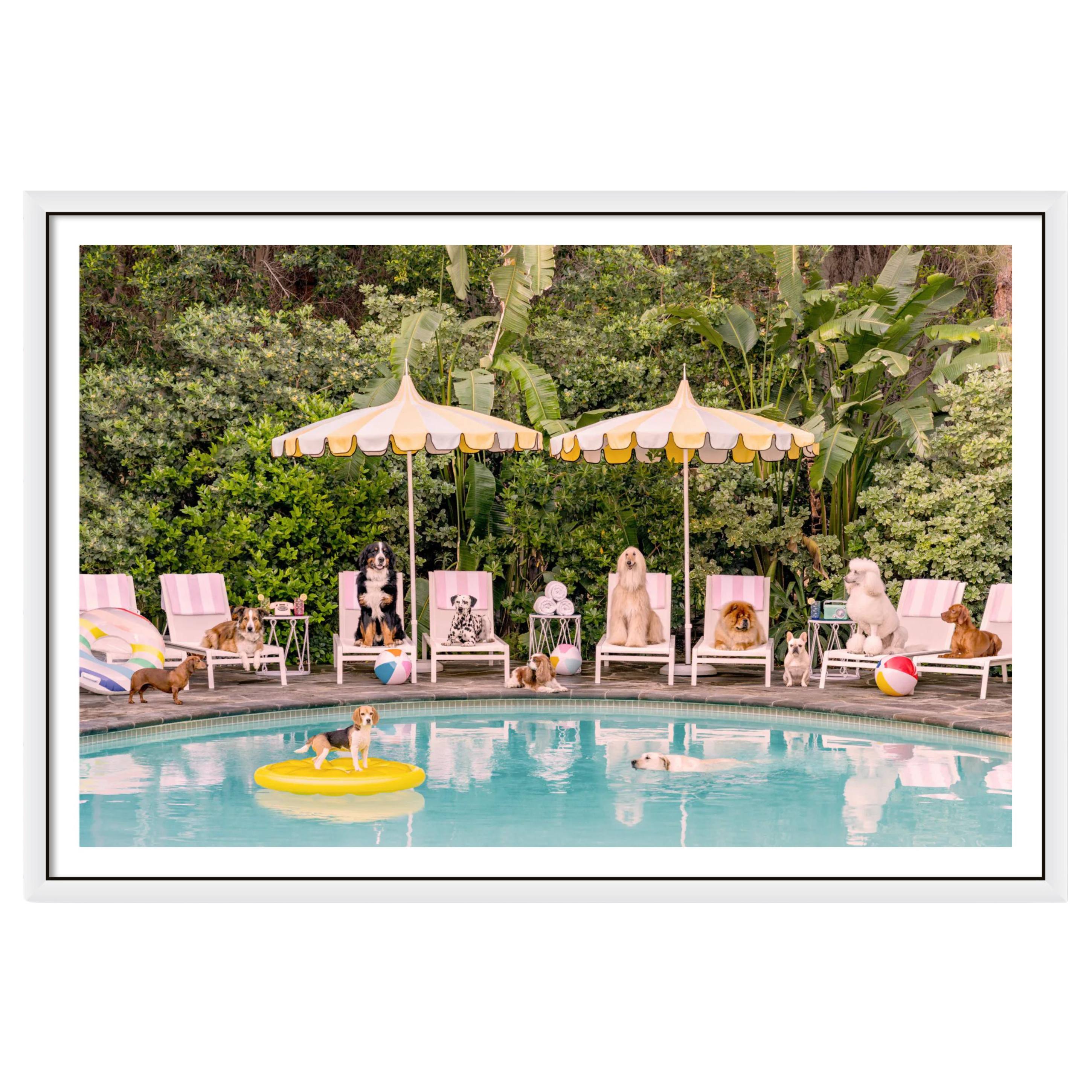 Playful dogs lounging in Beverly Hills Hotel depicted in 100x150cm white-framed canvas art
