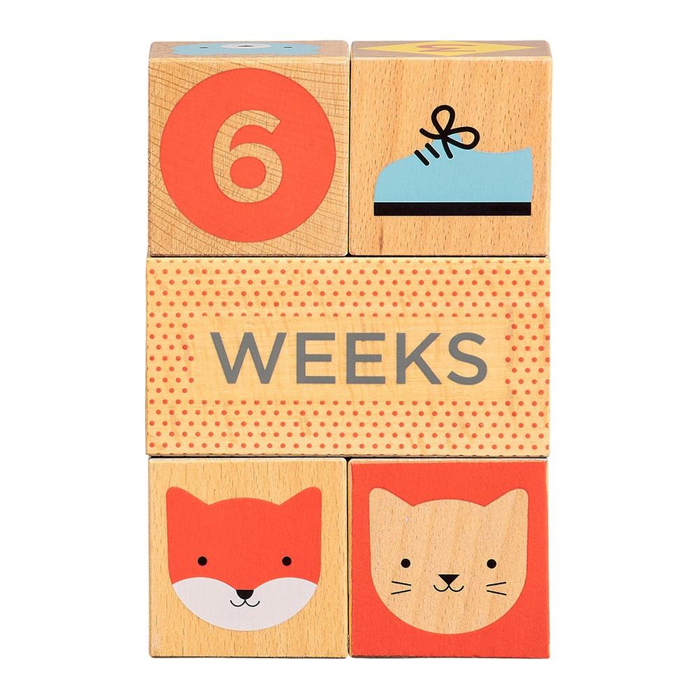 Wooden Baby Milestone Blocks -The Mountain Merchant -Petit Collage