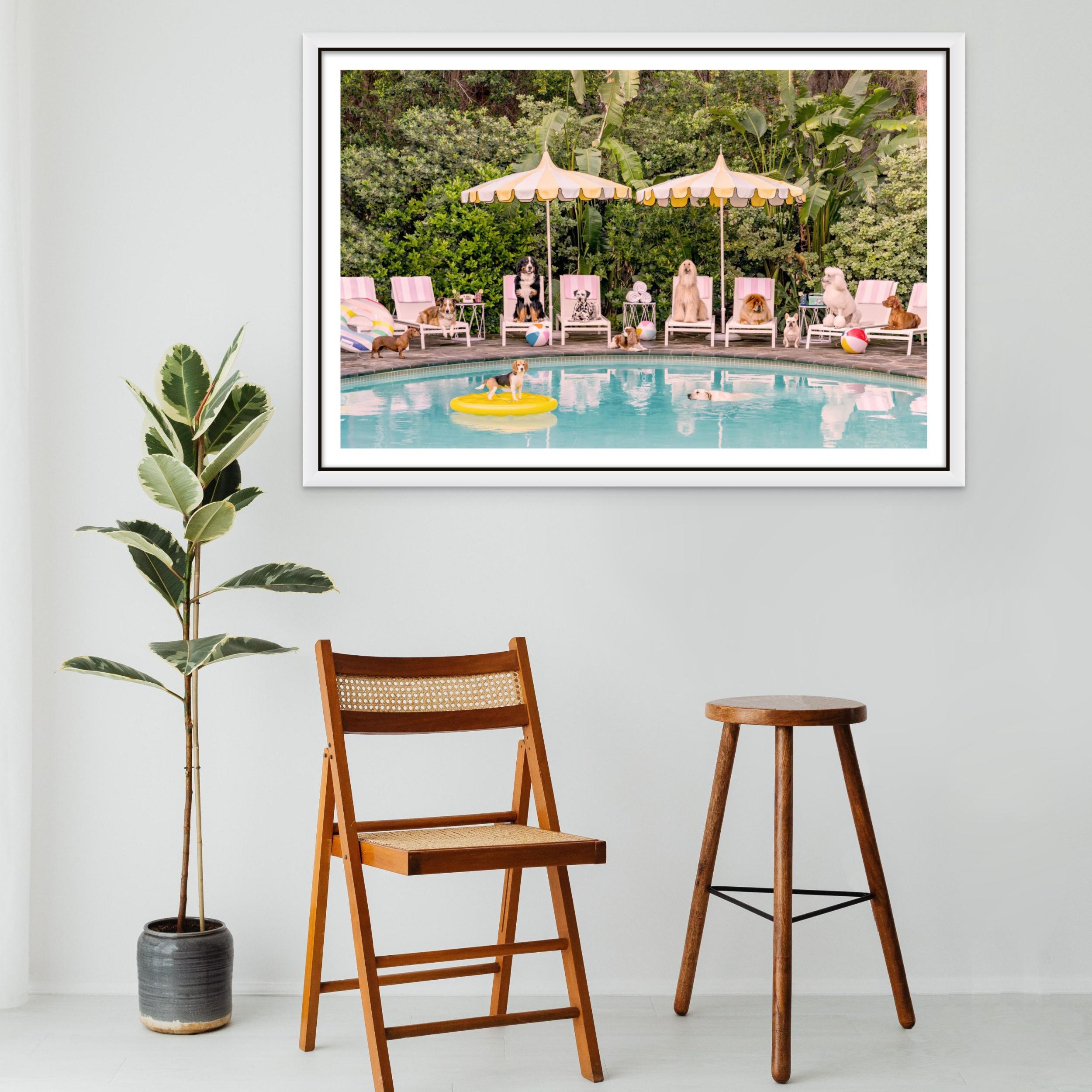 Spacious 90cm by 135cm canvas displaying a chic canine escapade at the Beverly Hills Hotel, highlighted in a white floating frame.