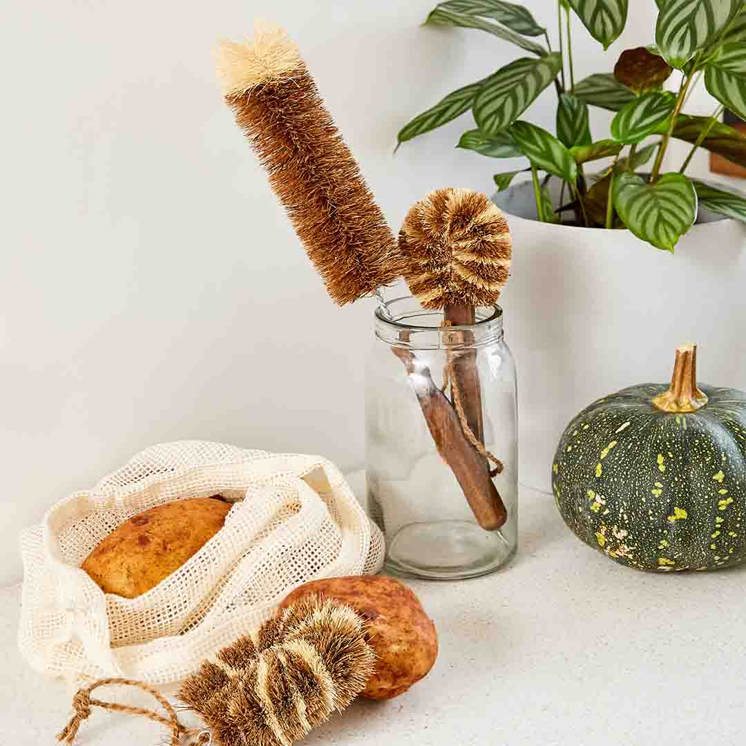 Small Tiger Vegetable Brush - 100% Natural Coconut Fibre -The Mountain Merchant -Import Ants